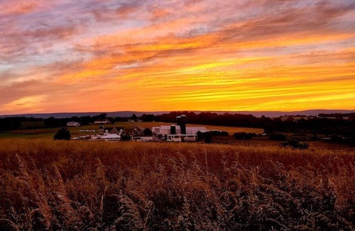 Mt. Bethel Maison | Private Year-Round Mountain Valley Mansion 200 Acres, Farm View, Chelsea Sun inn