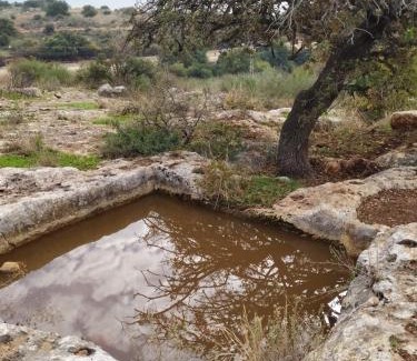 Kahal Station Balnéaire | Chen Ba'Galil