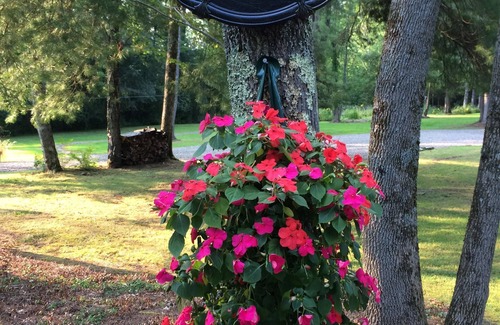 Norwich Maison | Chenango Lac Guest House