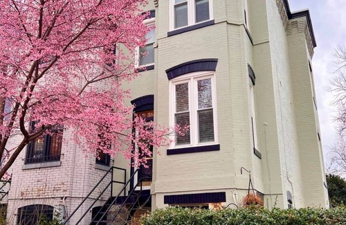 Stanton Park Maison | Cherry Blossom Charm
