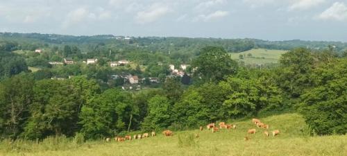 Solignac Maison | Cherveix