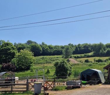 Fresse Maison | Chevaux au Soleil