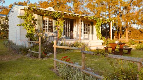 Grabouw Maison | Cheverells Farm, Kiku & Braeburn Cottage