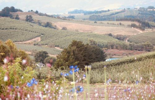 Grabouw Maison | Cheverells Farm, Kiku & Braeburn Cottage