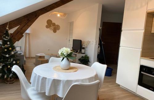 Charleville-Mezieres Appartement | Chez Gustave charmant T2, 4 min place Ducale