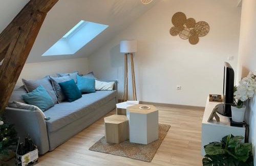 Charleville-Mezieres Appartement | Chez Gustave charmant T2, 4 min place Ducale