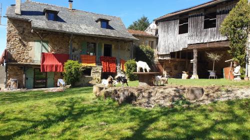 Sanvensa Appartement | Chez Patoue Gîte et Chambre d'hôtes