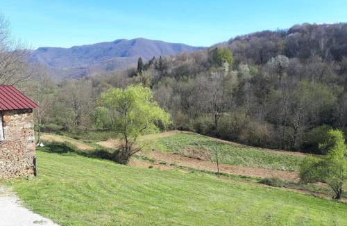 Chein-Dessus Maison | Chez Sagaret