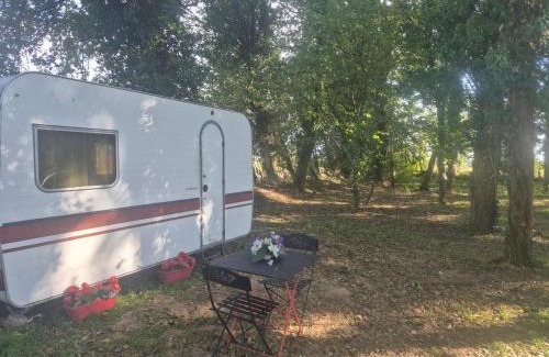 Maxent Autre | Chez Vallye