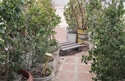 Ciudad Vieja Copropriété | Chic 1-bedroom condo with AC, WiFi in Old City Montevideo on Pedestrian Street
