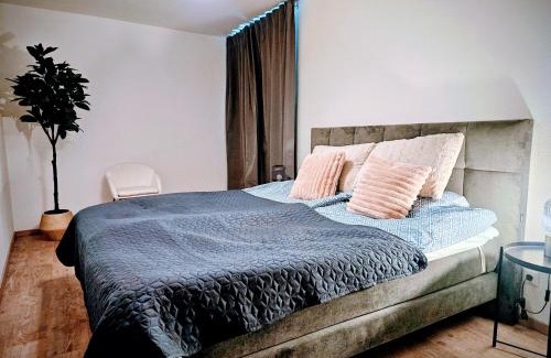 Innenstadt Appartement | Chic 2-room apartment in the historic cathedral district