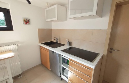 Alsheim Appartement | Chic dog-friendly apartment