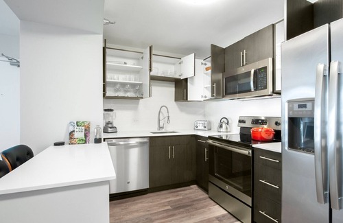 Rush and Division Appartement | Chic Gold Coast Convertible w/ Lounge near Oak Street by Blueground