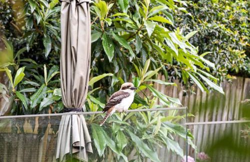 Pymble Maison | Chic Single Room - Convenient Spot at Pymble - Shared Bathroom