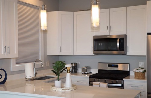 Tri-Taylor Appartement | Chicago Oasis - Near United Center & Downtown