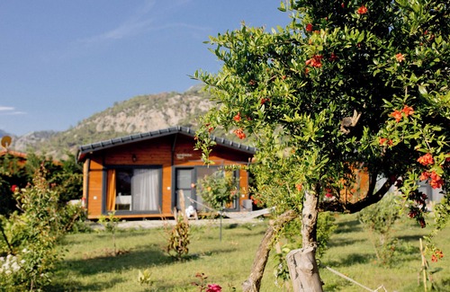Cirali Maison | Chirali Eco Villa - family apart hotel in Chirali, Turkey