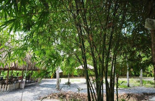 Mang Yang Autre | Cho thuê chòi view hồ -Homestay Me Khang 2