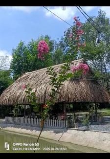 Mang Yang Autre | Cho thuê chòi view hồ -Homestay Me Khang 2