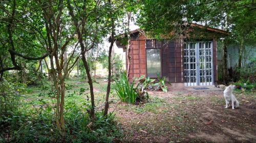 Sapiranga Autre | Choupana das Araucárias