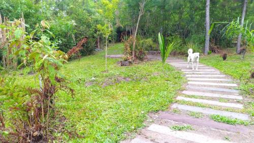 Sapiranga Autre | Choupana das Araucárias
