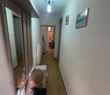 Central Tzoumerka Appartement | Christo's Place Katarraktis Artas