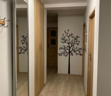 Biala Podlaska Appartement | Chrobrego 4