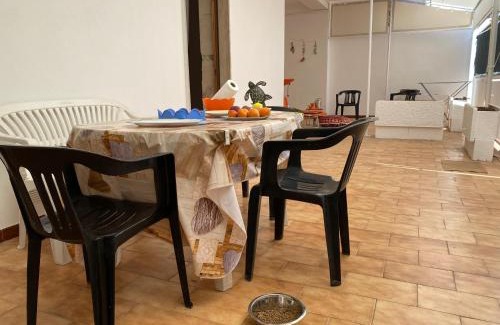 Maglie Appartement | CIAK House