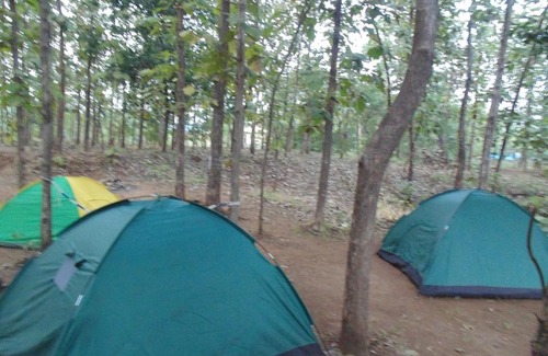 Shahapur Hôtel | Cibo Escape Eco Resort