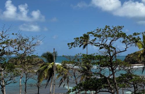 Eastern Panama Hôtel | Ciel y Miel