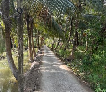 Cau Ke Maison | Cin Homestay