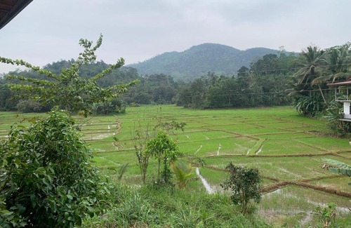 Kotapola Hôtel | Cinnamon Village Sinharaja