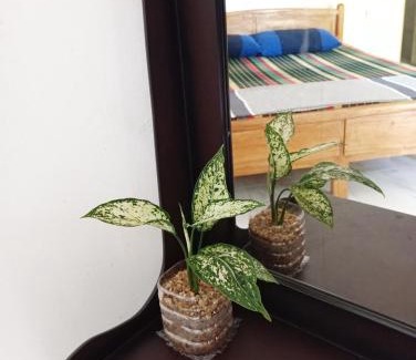 Pelena Maison | cinometra