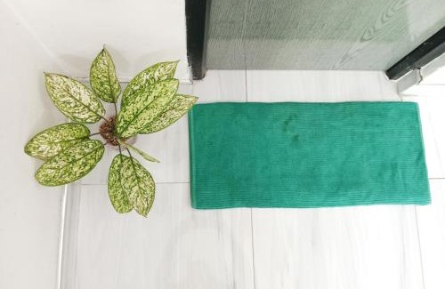 Pelena Maison | cinometra