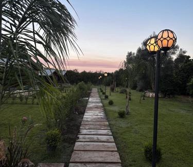 Cirali Maison | Cirali Simge Holiday Houses