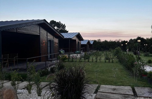 Cirali Appartement | Cirali Simge Holiday Houses