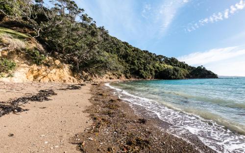 Waiheke Island Maison | Circular Bay
