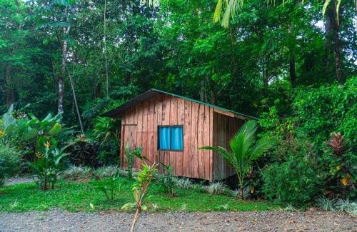 Drake Bay Hôtel | Citronela Lodge Corcovado