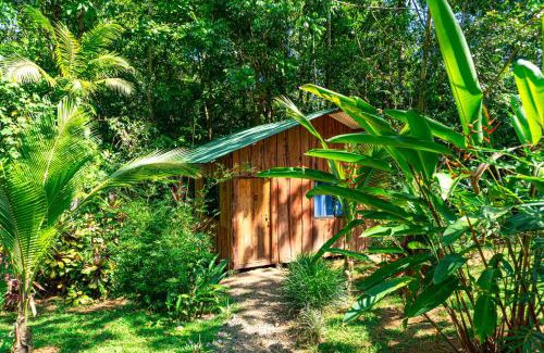 Drake Bay Hôtel | Citronela Lodge Corcovado