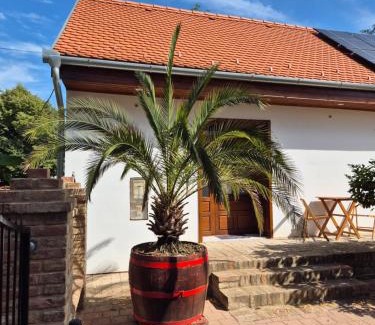 Palkonya Maison | CitrusLiget Vendégház