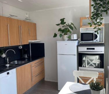 Kuopio Appartement | City Apartment Maaherrankatu, ilmainen kadunvarsipysäköinti