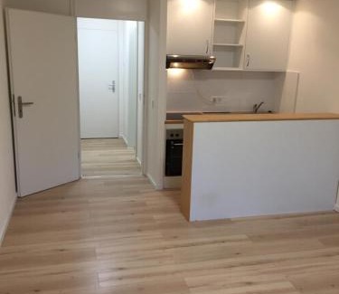 Obere Au Appartement | City Center Apartment