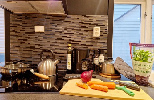 Engen Appartement | City center retreat with king bed