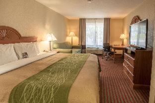 Mount Pleasant Hôtel | Clarion Pointe Racine - Mount Pleasant
