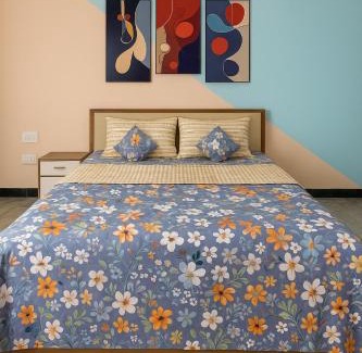 Himayatnagar Appartement | Classic 4 BHK