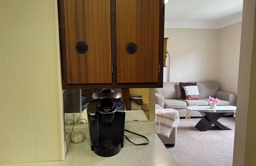 Chatham-Kent Appartement | Classic Grand Ground Level 1 bed Apartment in Downtown Chatham
