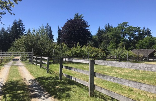 Vashon Island Maison | Retraite paisible de 10 acres sur l'île de Vashon avec vue sur l'eau et les montagnes olympiques