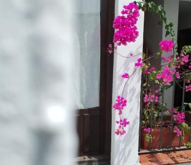 Santiago Appartement | Claustro Home Casco Histórico Córdoba