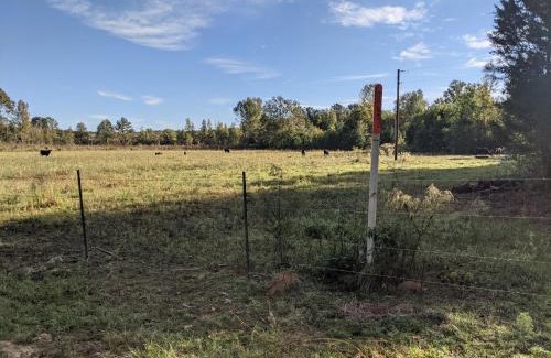 Mc Adams Maison | Clayhills