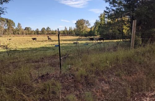 Mc Adams Maison | Clayhills