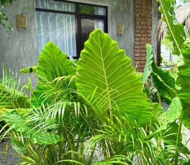 Midigama Appartement | Clayleaf 2pax aprt